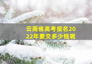 云南省高考报名2022年要交多少钱呢