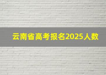 云南省高考报名2025人数