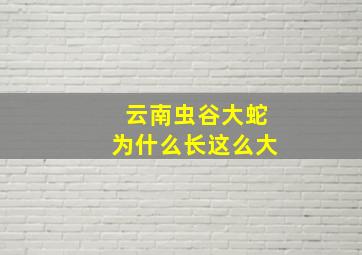 云南虫谷大蛇为什么长这么大