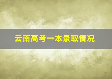 云南高考一本录取情况