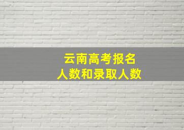 云南高考报名人数和录取人数