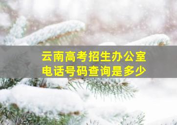 云南高考招生办公室电话号码查询是多少