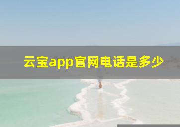 云宝app官网电话是多少