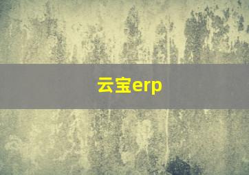 云宝erp