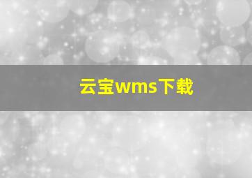 云宝wms下载