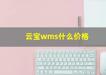 云宝wms什么价格