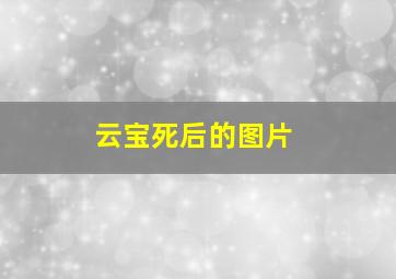 云宝死后的图片