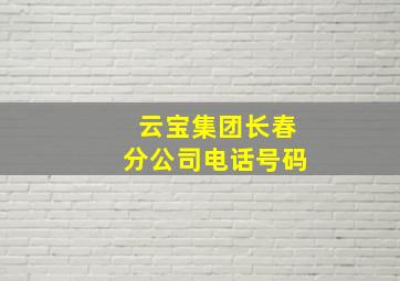 云宝集团长春分公司电话号码