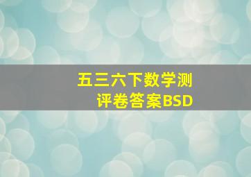 五三六下数学测评卷答案BSD