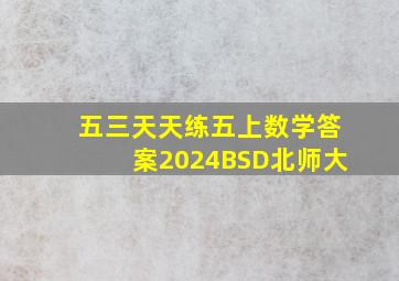 五三天天练五上数学答案2024BSD北师大