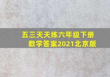 五三天天练六年级下册数学答案2021北京版