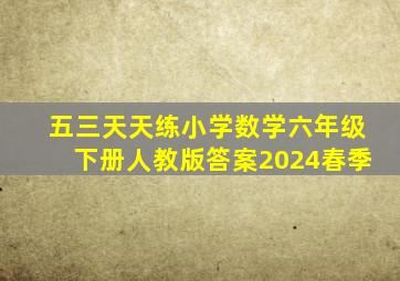 五三天天练小学数学六年级下册人教版答案2024春季