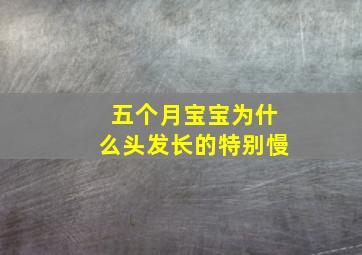 五个月宝宝为什么头发长的特别慢