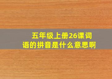 五年级上册26课词语的拼音是什么意思啊