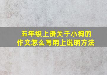 五年级上册关于小狗的作文怎么写用上说明方法