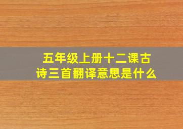 五年级上册十二课古诗三首翻译意思是什么