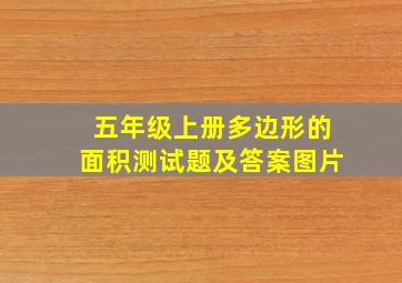 五年级上册多边形的面积测试题及答案图片