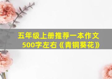 五年级上册推荐一本作文500字左右《青铜葵花》