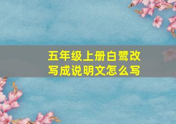 五年级上册白鹭改写成说明文怎么写