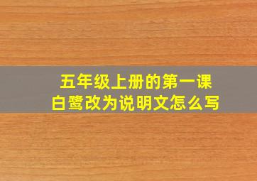 五年级上册的第一课白鹭改为说明文怎么写