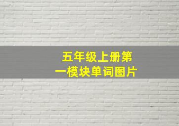 五年级上册第一模块单词图片