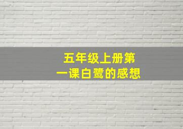 五年级上册第一课白鹭的感想