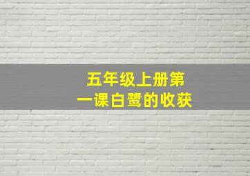 五年级上册第一课白鹭的收获