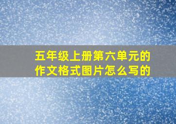 五年级上册第六单元的作文格式图片怎么写的