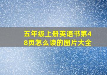 五年级上册英语书第48页怎么读的图片大全