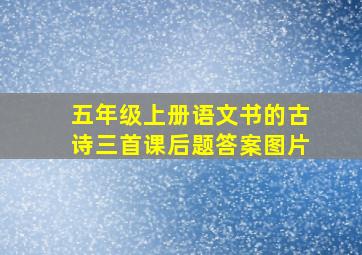 五年级上册语文书的古诗三首课后题答案图片