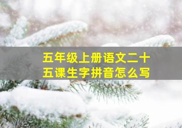 五年级上册语文二十五课生字拼音怎么写