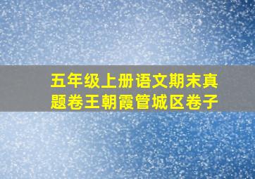 五年级上册语文期末真题卷王朝霞管城区卷子