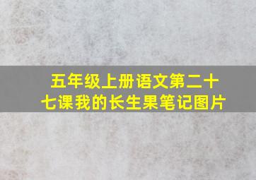 五年级上册语文第二十七课我的长生果笔记图片