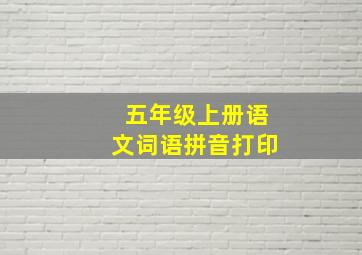 五年级上册语文词语拼音打印