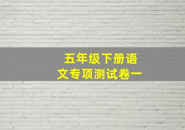 五年级下册语文专项测试卷一