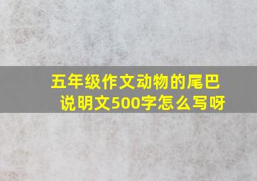 五年级作文动物的尾巴说明文500字怎么写呀