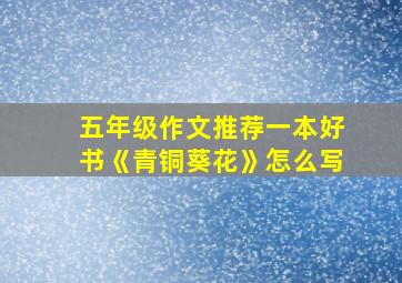 五年级作文推荐一本好书《青铜葵花》怎么写