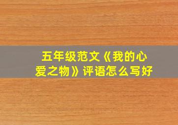 五年级范文《我的心爱之物》评语怎么写好