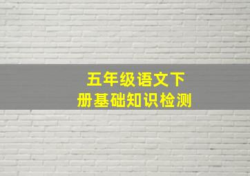 五年级语文下册基础知识检测