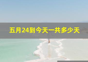 五月24到今天一共多少天