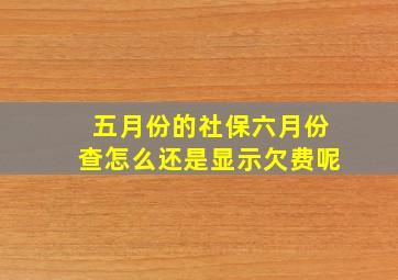 五月份的社保六月份查怎么还是显示欠费呢