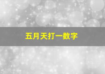 五月天打一数字