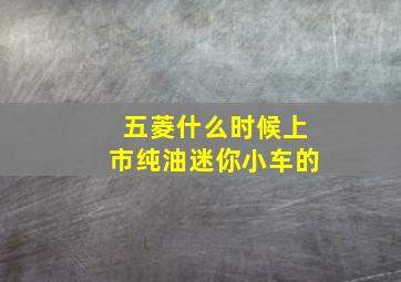 五菱什么时候上市纯油迷你小车的