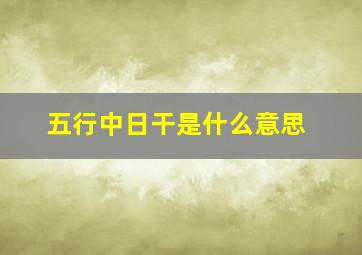 五行中日干是什么意思