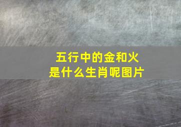 五行中的金和火是什么生肖呢图片