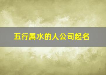 五行属水的人公司起名