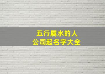 五行属水的人公司起名字大全