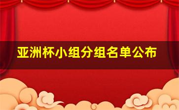 亚洲杯小组分组名单公布