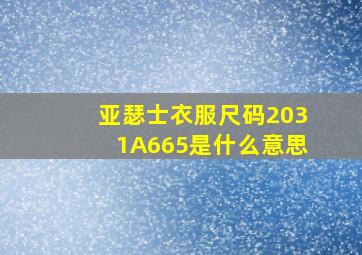 亚瑟士衣服尺码2031A665是什么意思