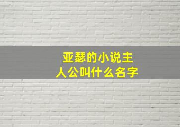 亚瑟的小说主人公叫什么名字